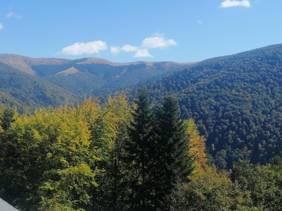Appartamento The Rock Sinaia Esterno foto
