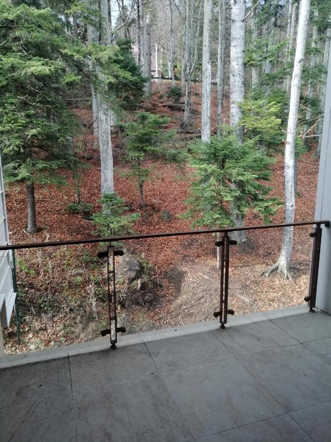 Appartamento The Rock Sinaia Esterno foto