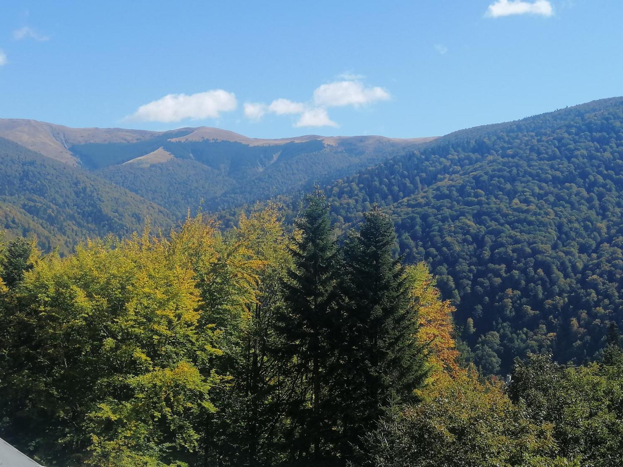 Appartamento The Rock Sinaia Esterno foto
